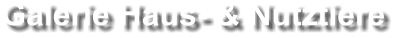 Galerie Haus- & Nutztiere